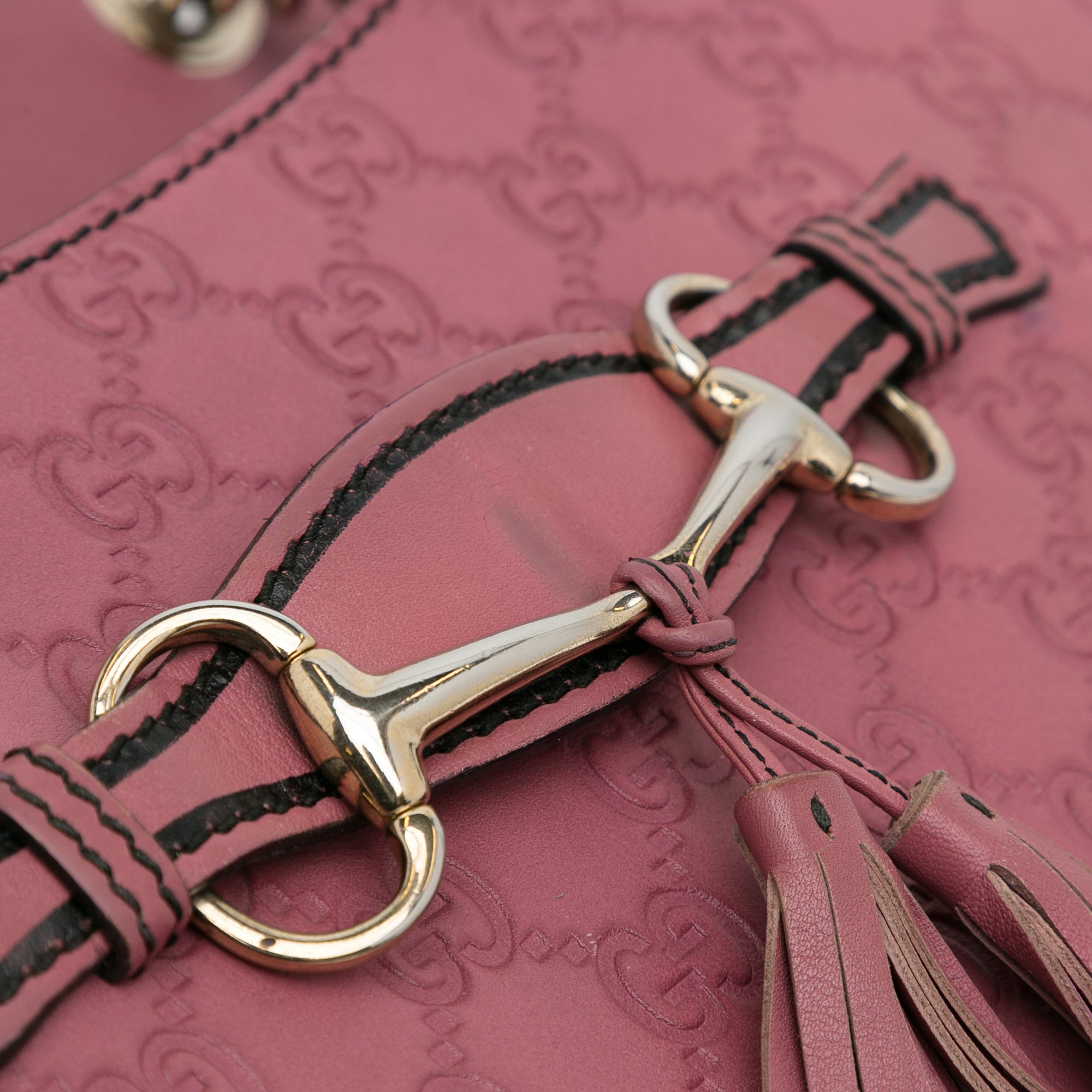 Medium Guccissima Emily_8