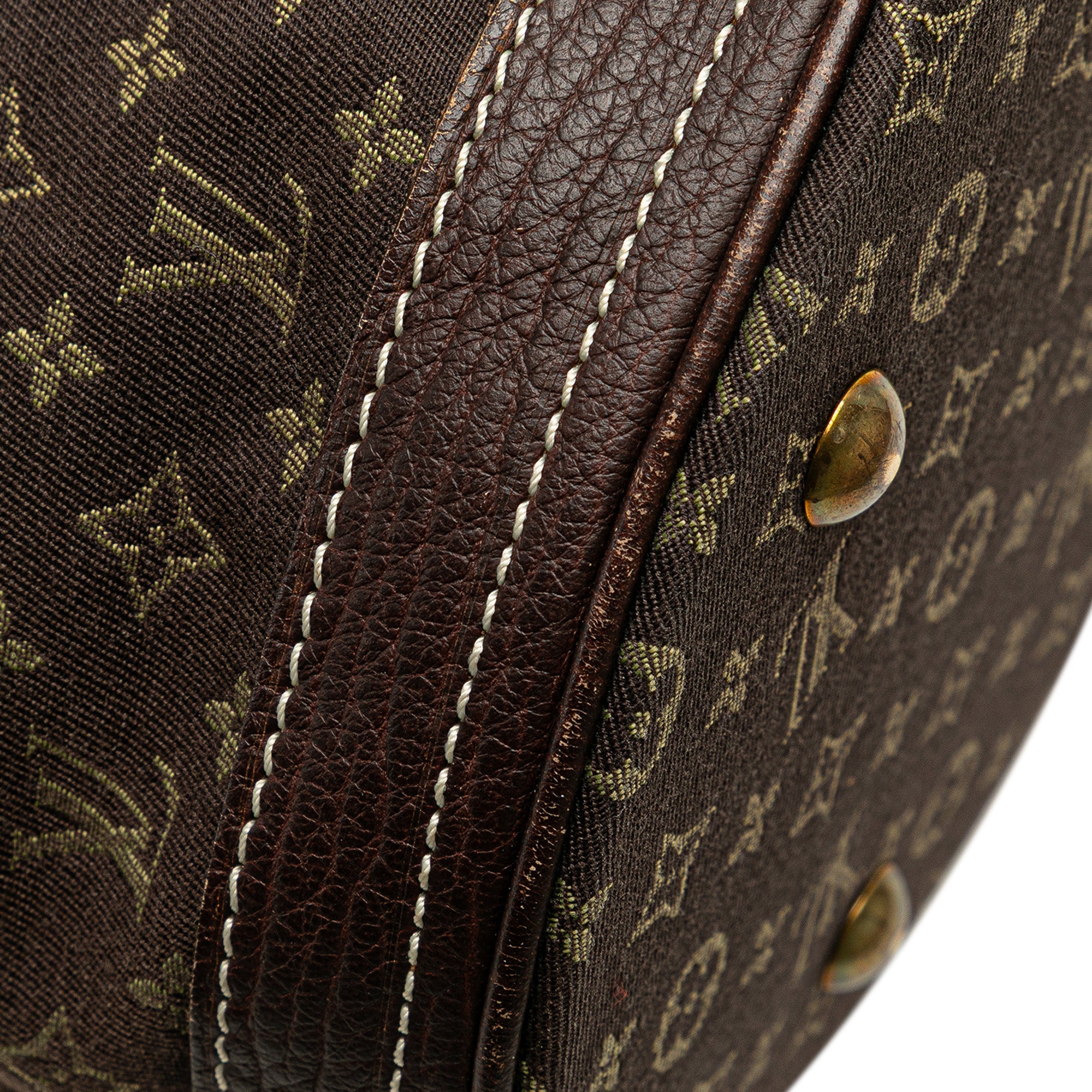 Monogram Mini Lin Bucket PM
