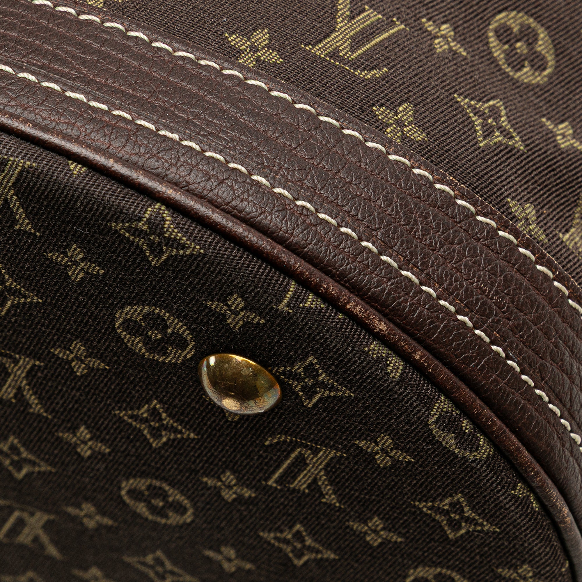 Monogram Mini Lin Bucket PM