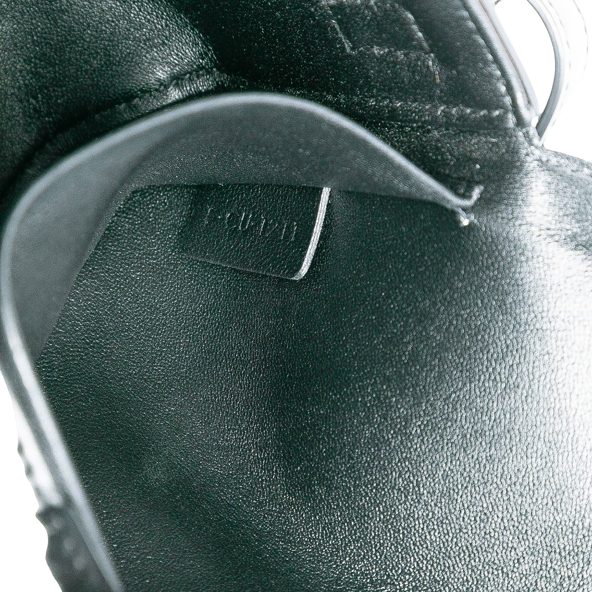 Shiny Calfskin Triomphe Claude Shoulder Bag