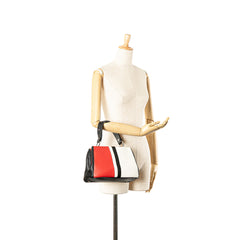 Leather Baiadera Frame Bag