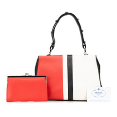 Leather Baiadera Frame Bag