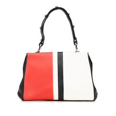 Leather Baiadera Frame Bag
