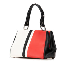 Leather Baiadera Frame Bag