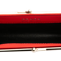 Leather Baiadera Frame Bag