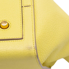 Small Grained Calfskin Tie Tote