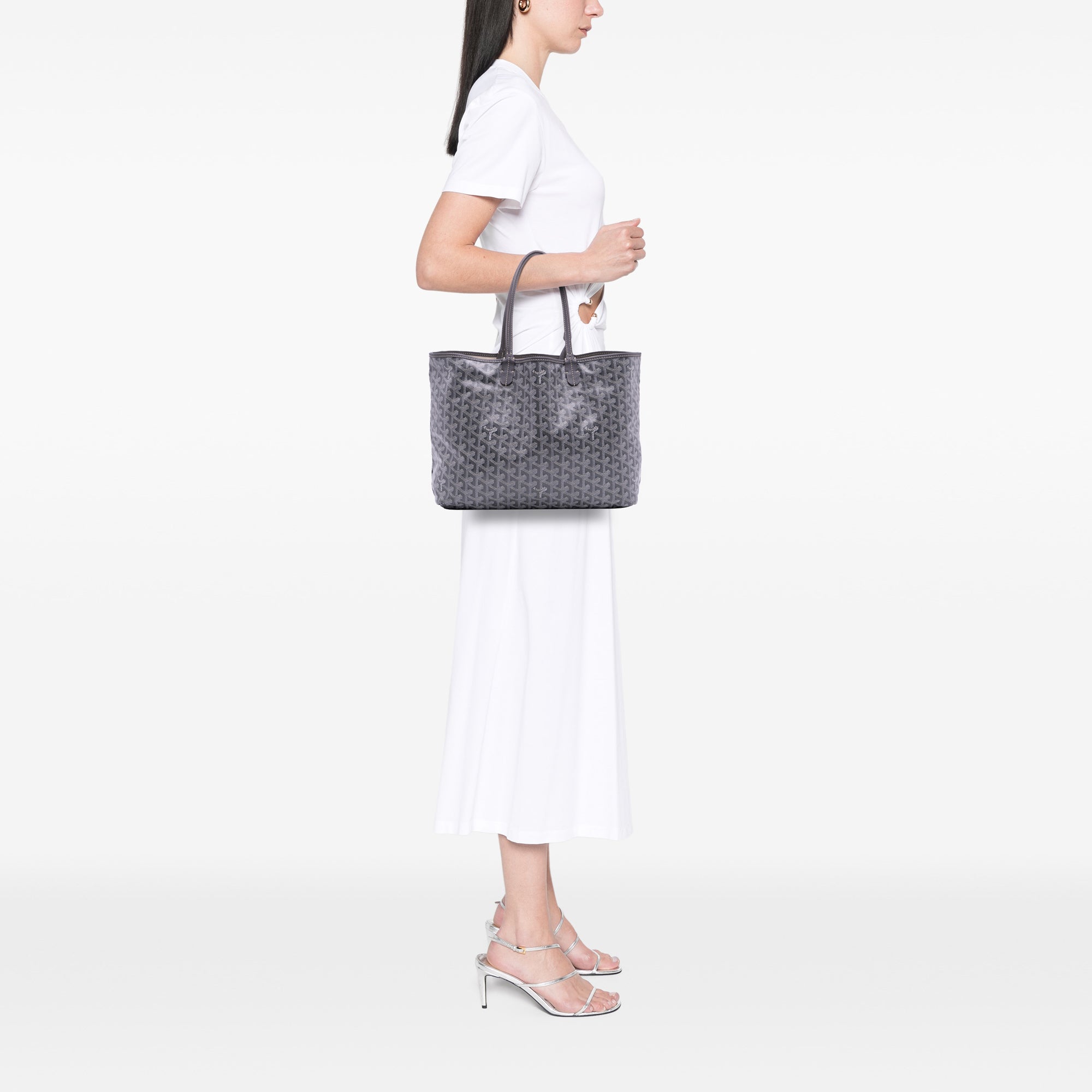 Goyardine Saint Louis PM