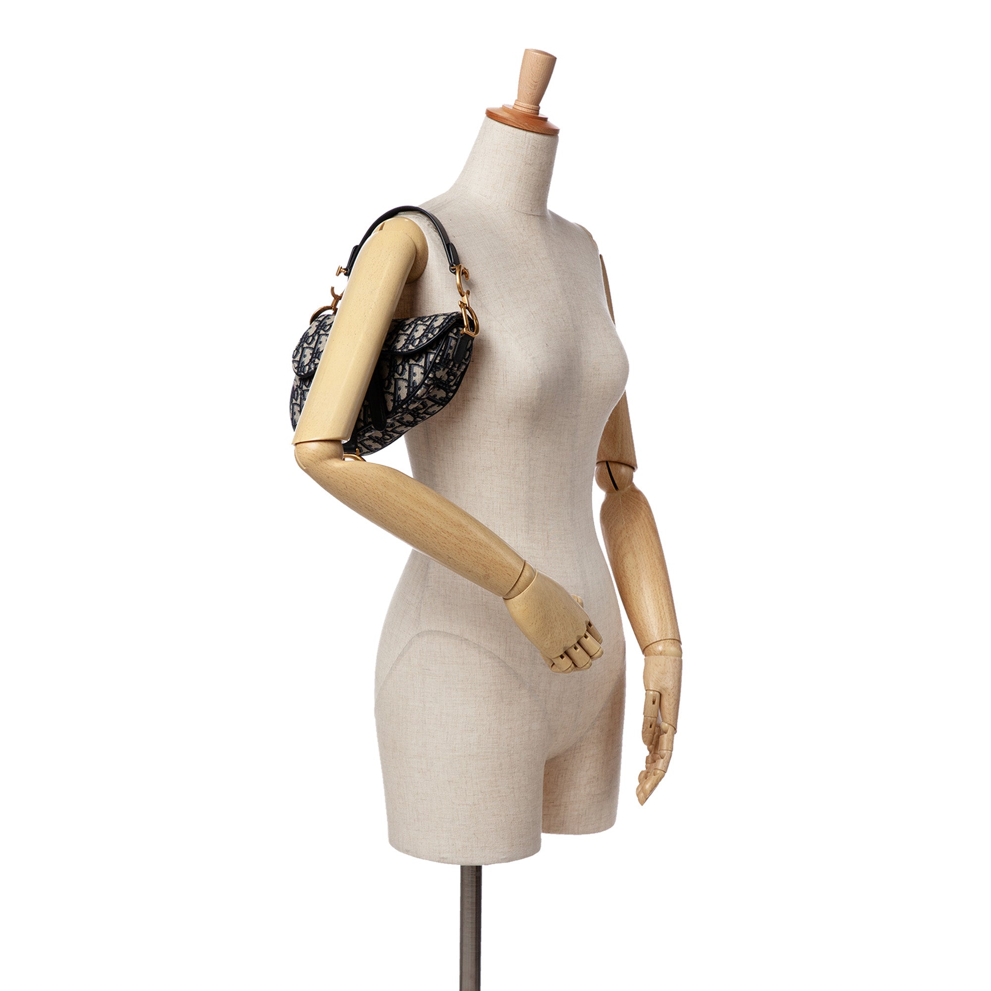 Mini Oblique Canvas Saddle Bag