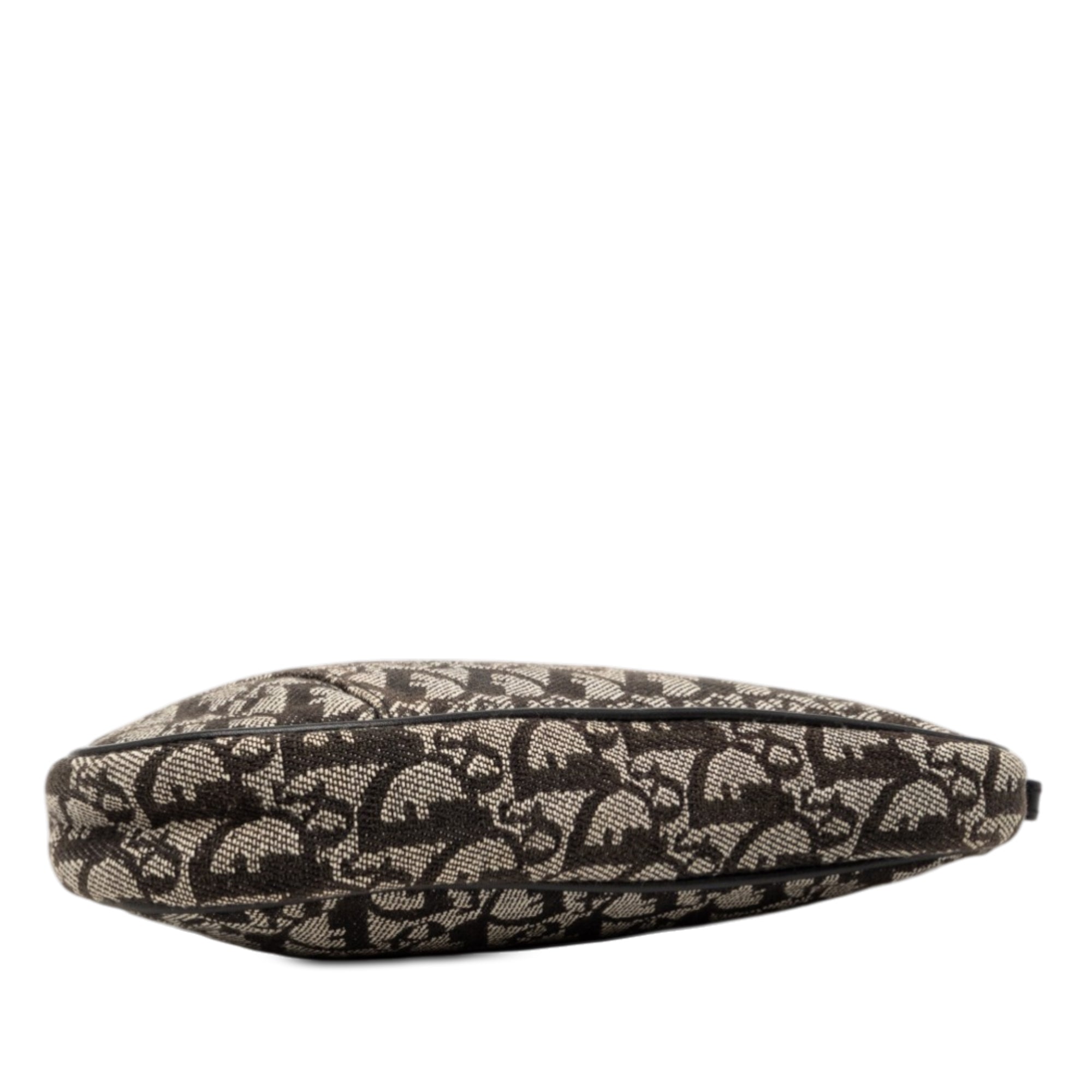 Mini Diorissimo Canvas Saddle Pochette