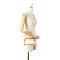 Triomphe Coated Canvas Clutch On Chain