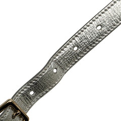 Small Metallic Grained Calfskin Diorama Flap