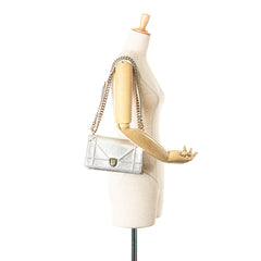 Small Metallic Grained Calfskin Diorama Flap