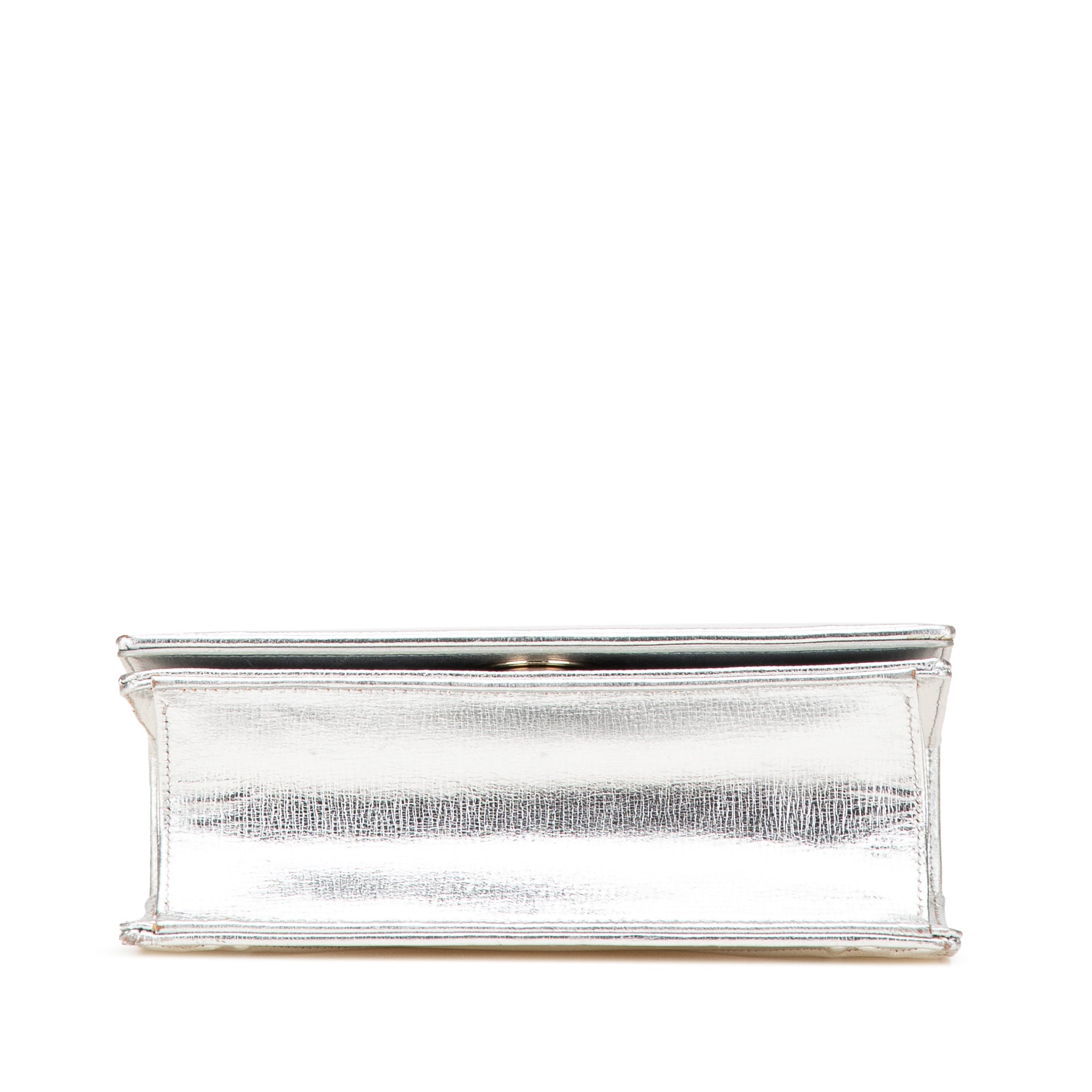 Small Metallic Grained Calfskin Diorama Flap