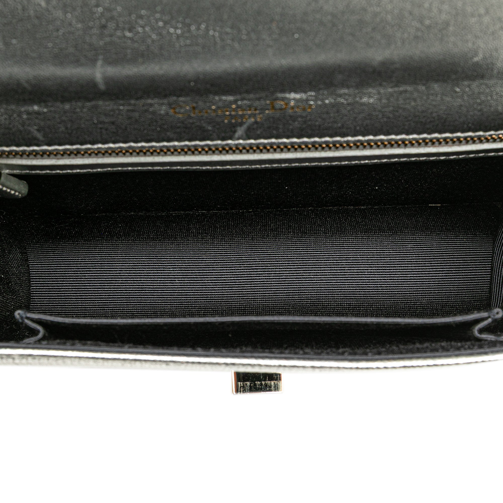 Small Metallic Grained Calfskin Diorama Flap