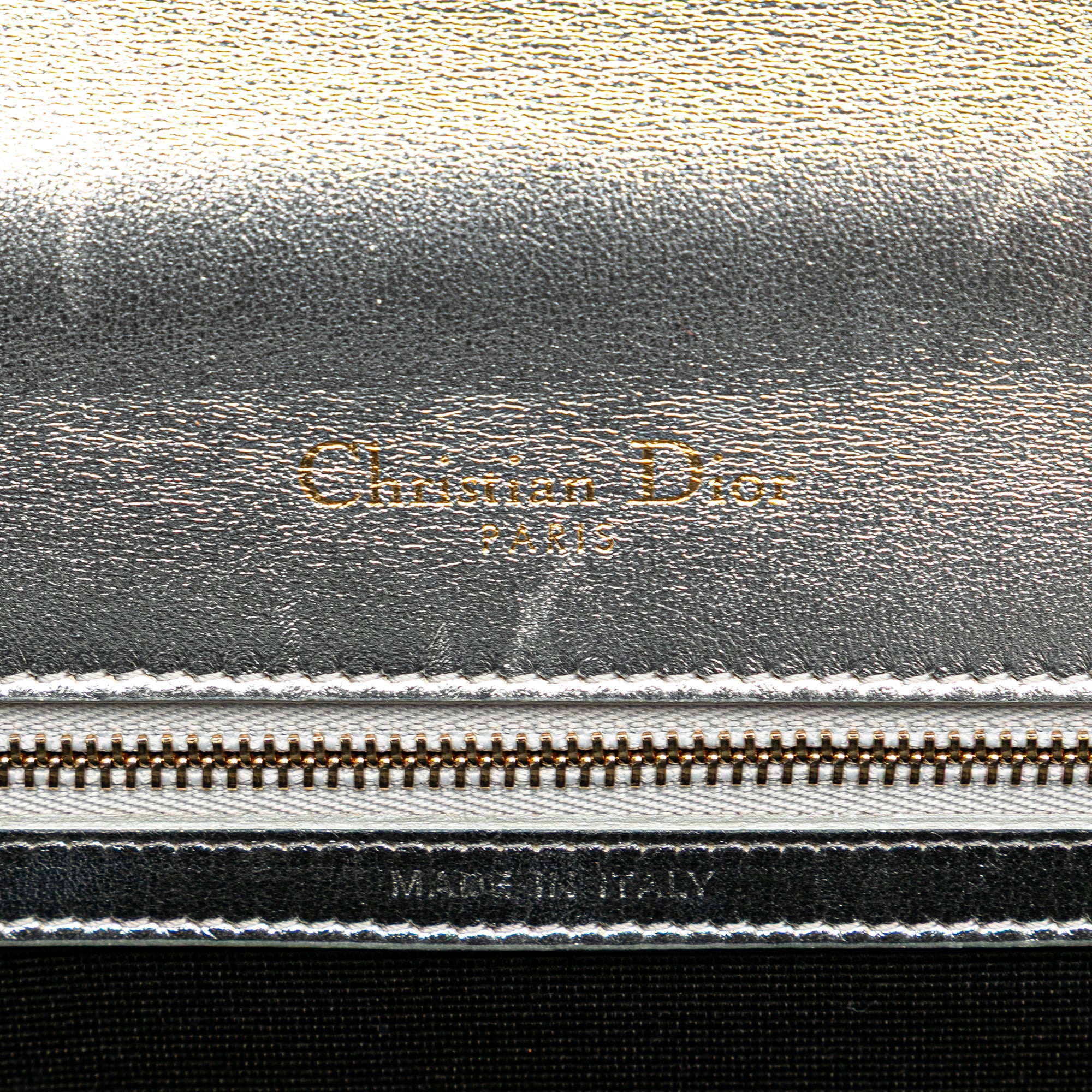 Small Metallic Grained Calfskin Diorama Flap