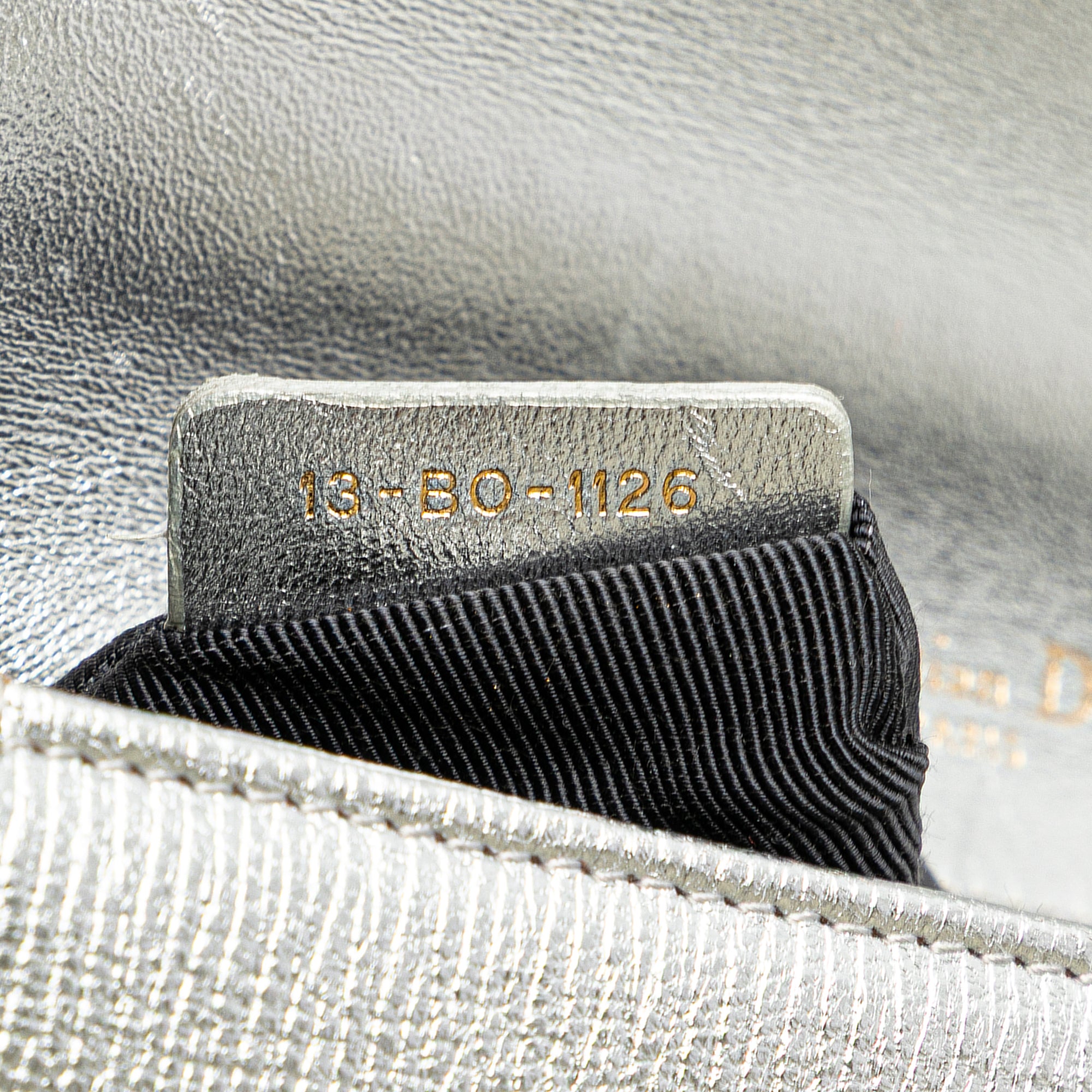Small Metallic Grained Calfskin Diorama Flap