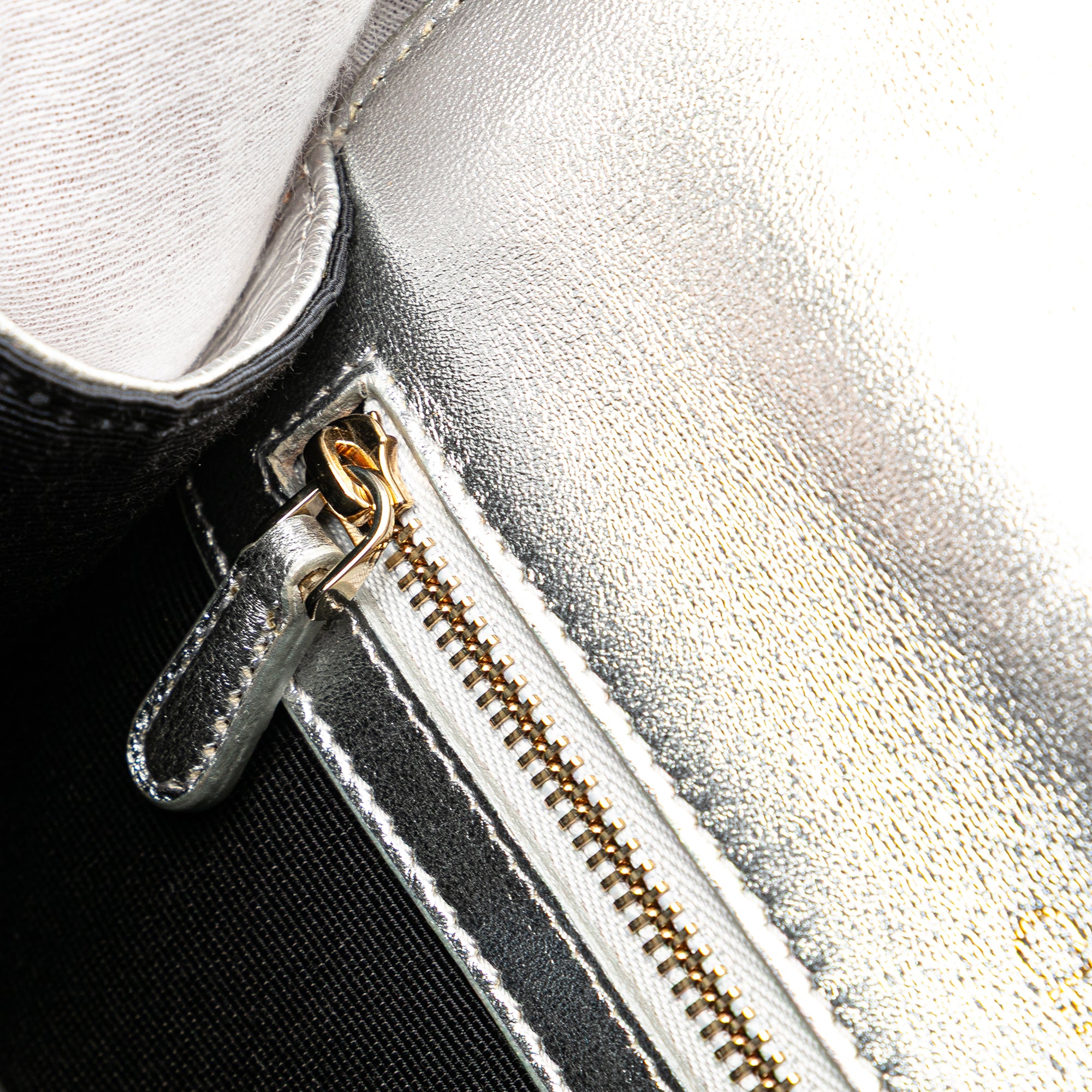 Small Metallic Grained Calfskin Diorama Flap