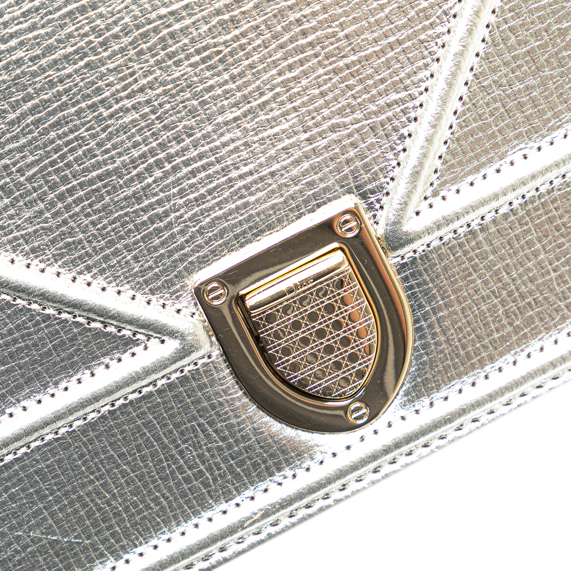 Small Metallic Grained Calfskin Diorama Flap
