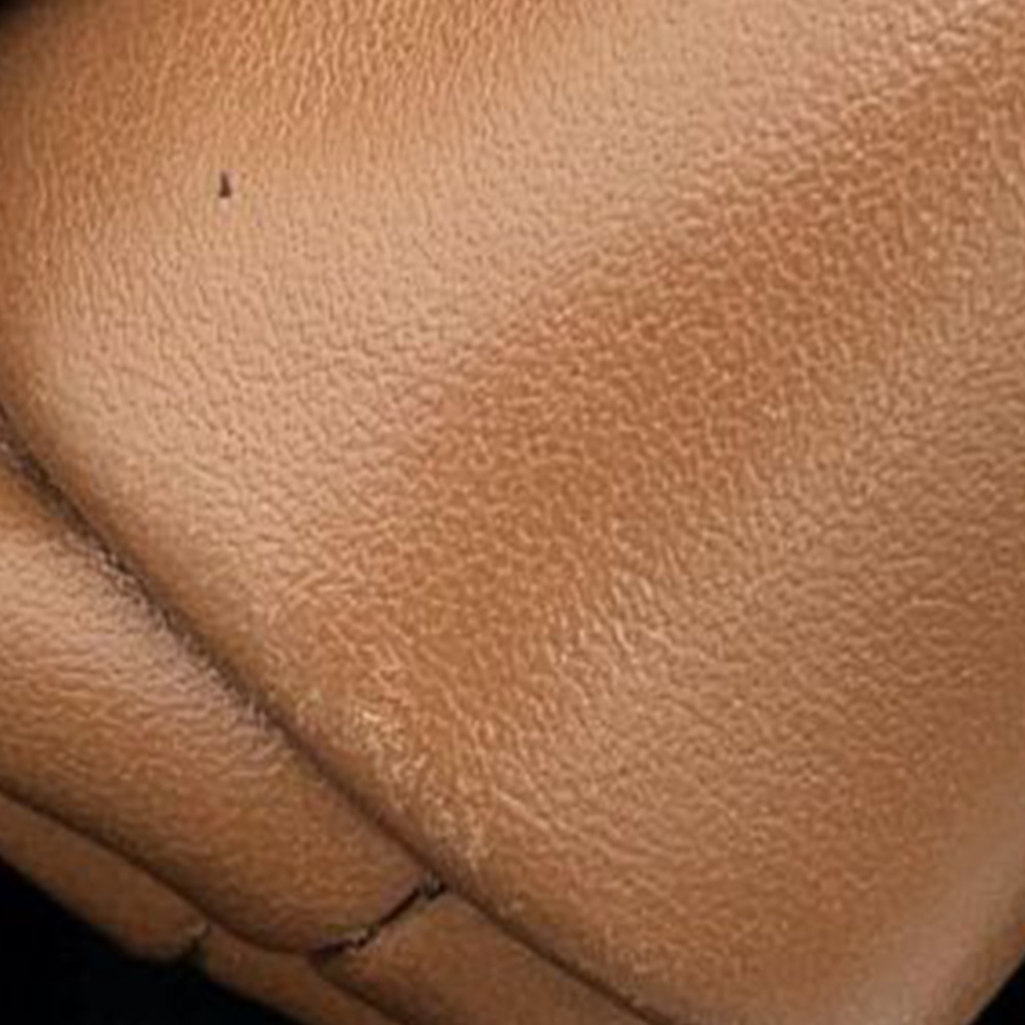 Lambskin The Extra Mini Pouch Crossbody