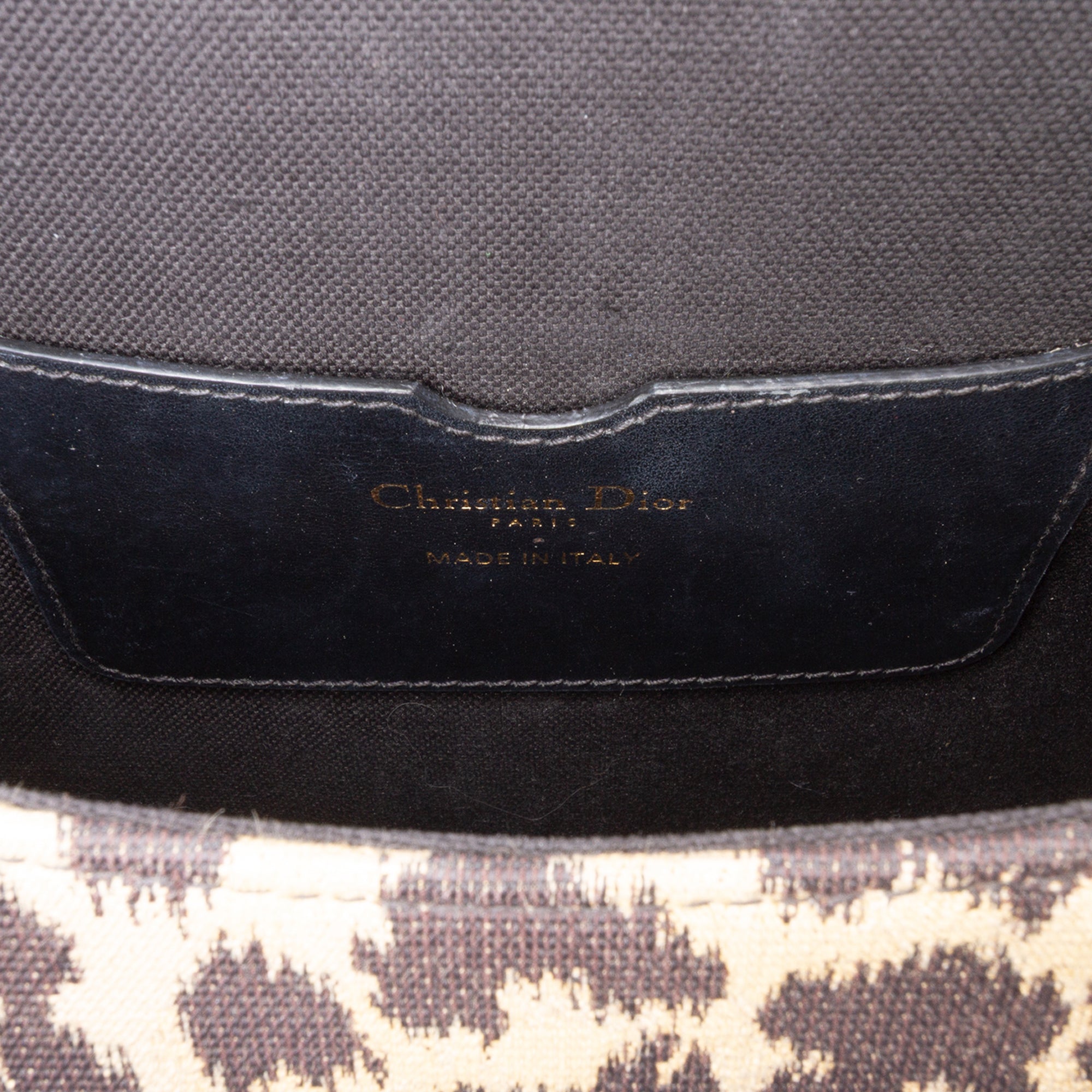 Mizza Medium Embroidered Canvas Leopard Bobby Crossbody