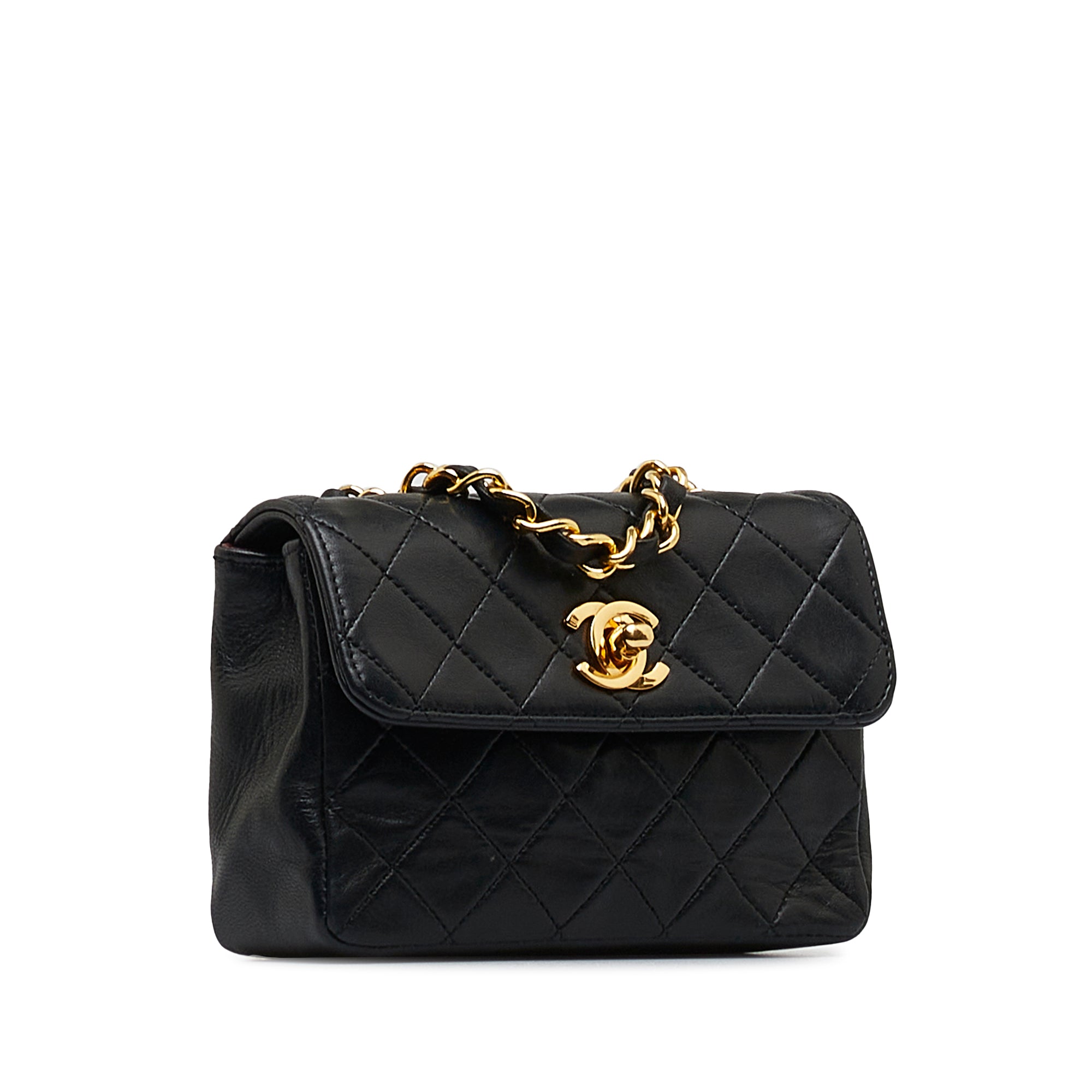 Mini CC Quilted Lambskin Flap_1