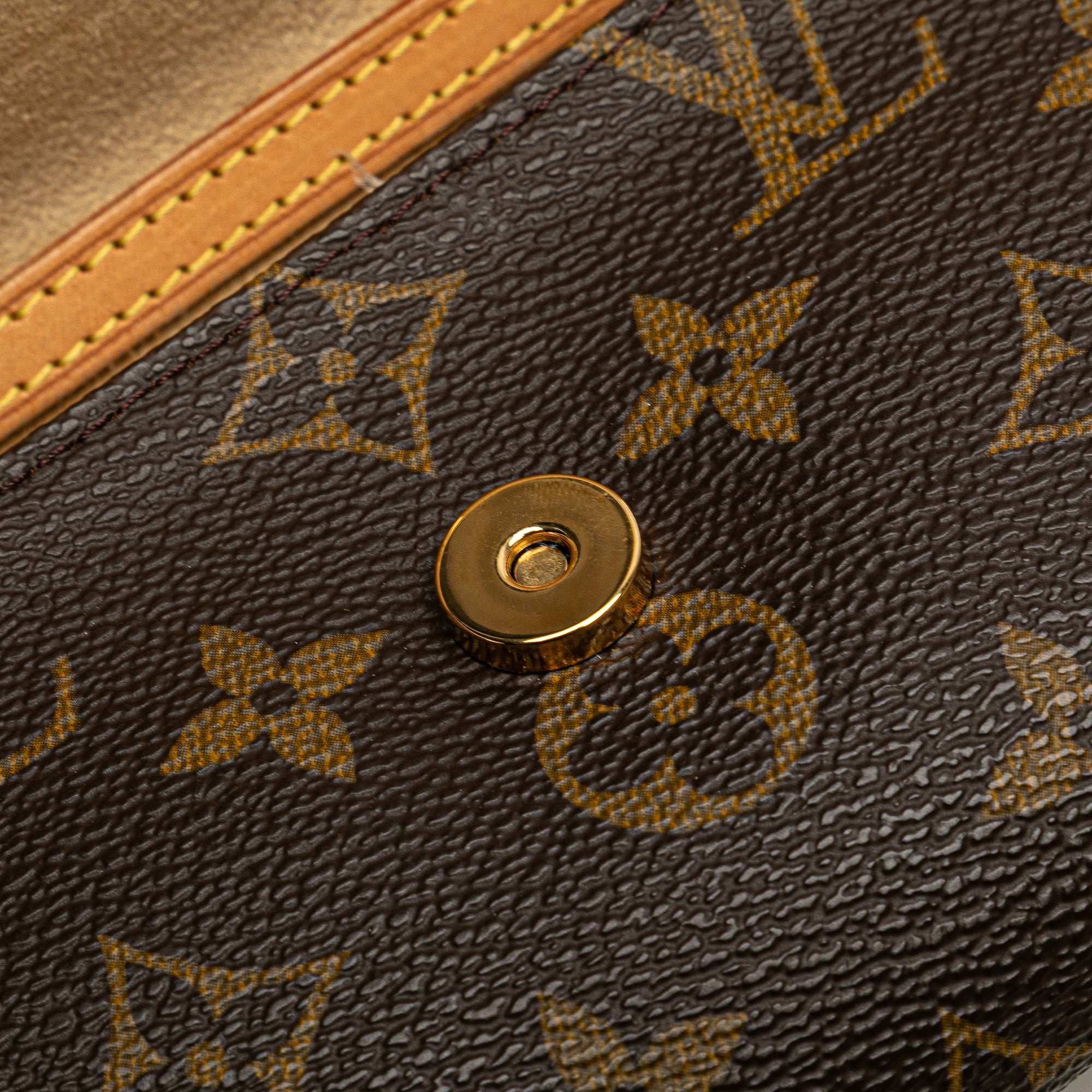 Monogram Pochette Twin PM