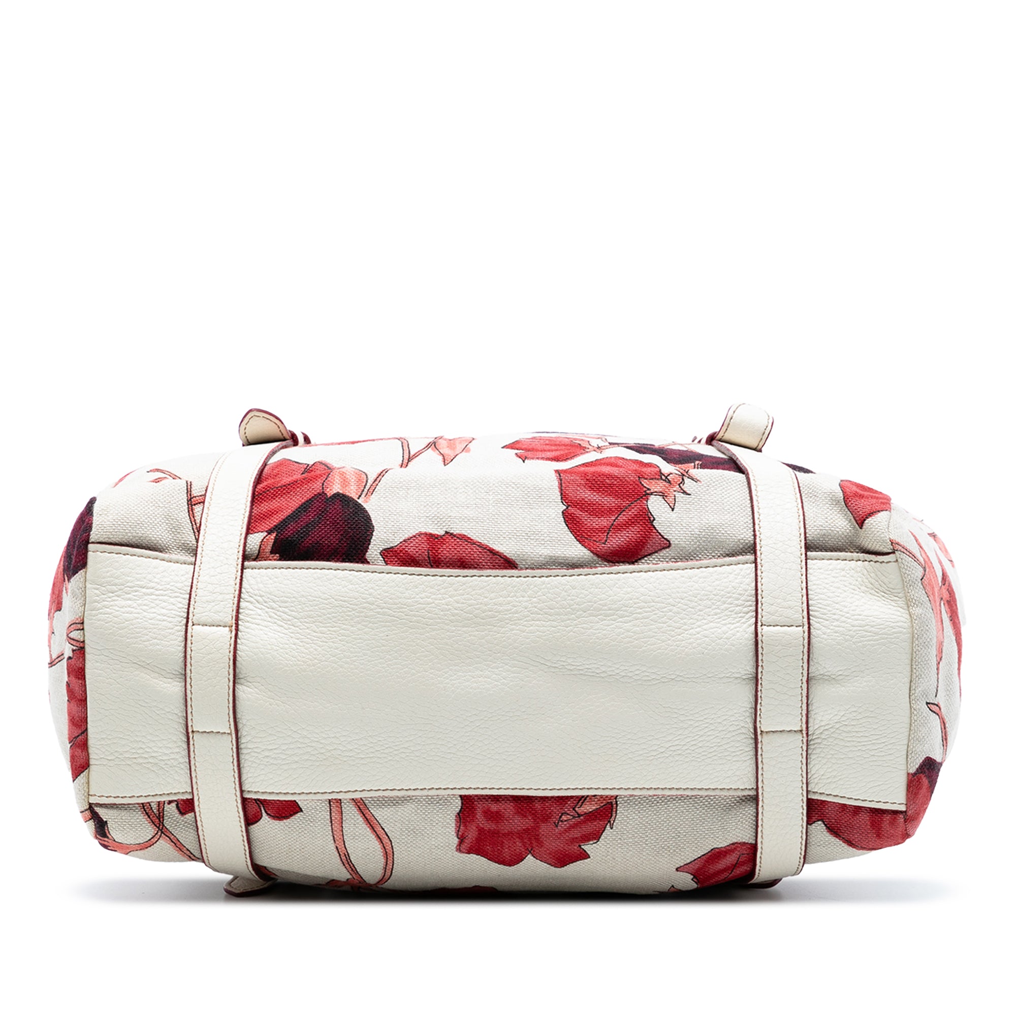 Vitello Daino Trimmed Canapa Stampato Frame Tote