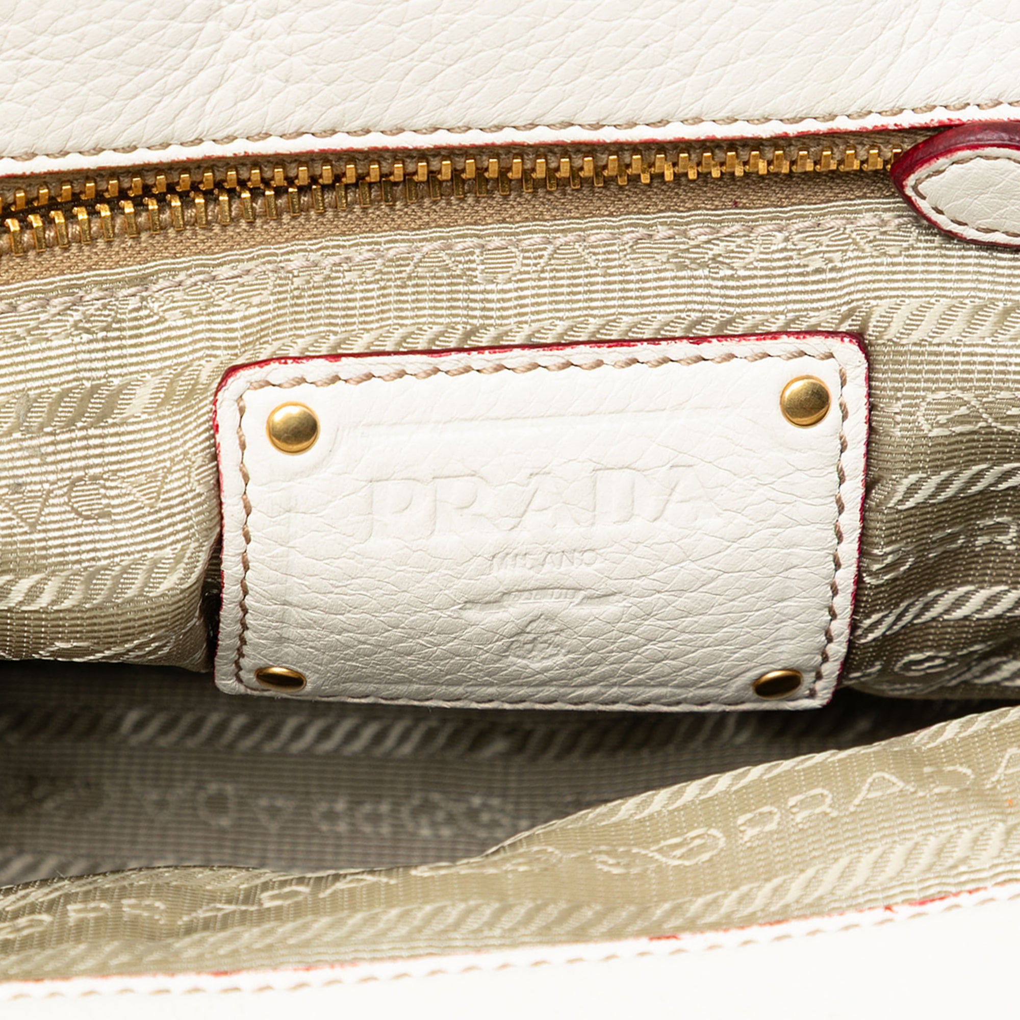 Vitello Daino Trimmed Canapa Stampato Frame Tote