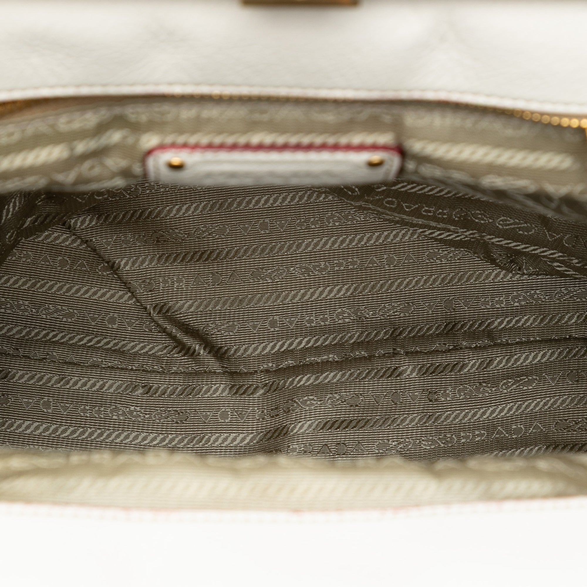 Vitello Daino Trimmed Canapa Stampato Frame Tote