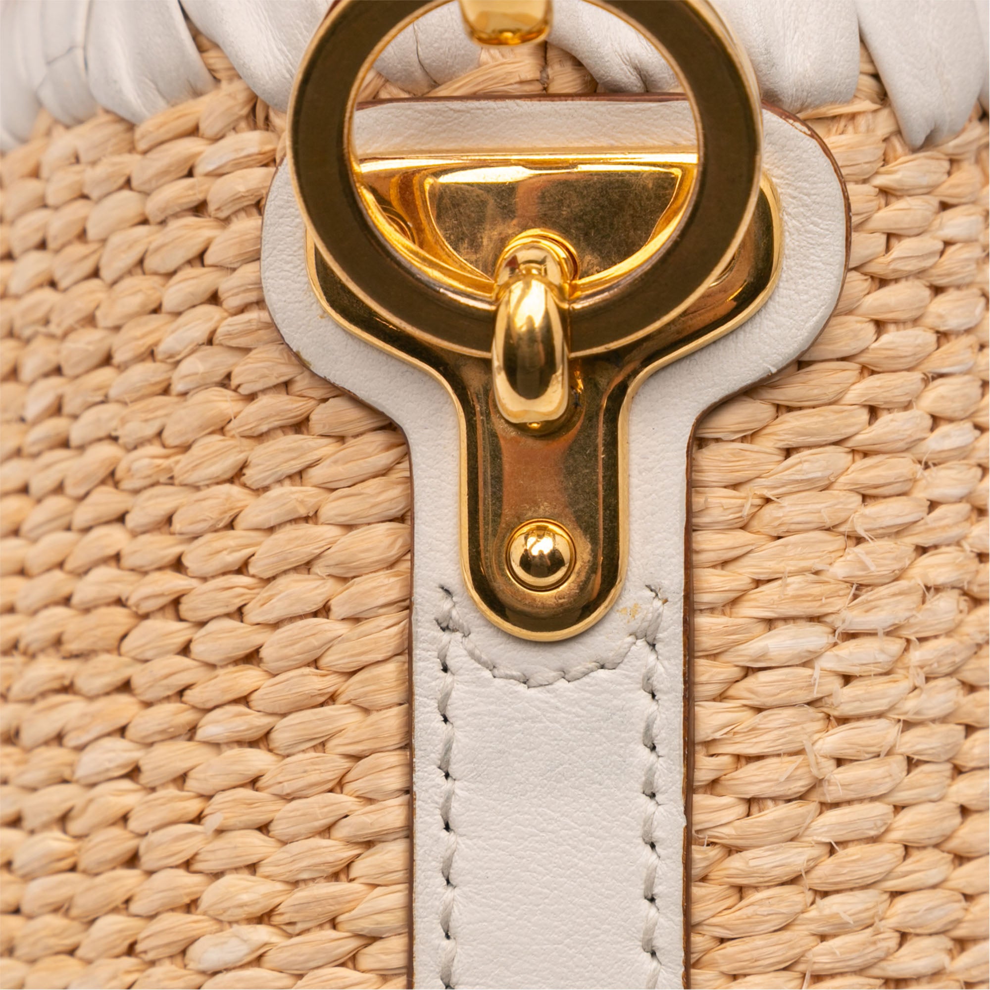 City Calf Trimmed Paglia Bucket Bag
