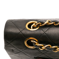 Medium Classic Lambskin Double Flap