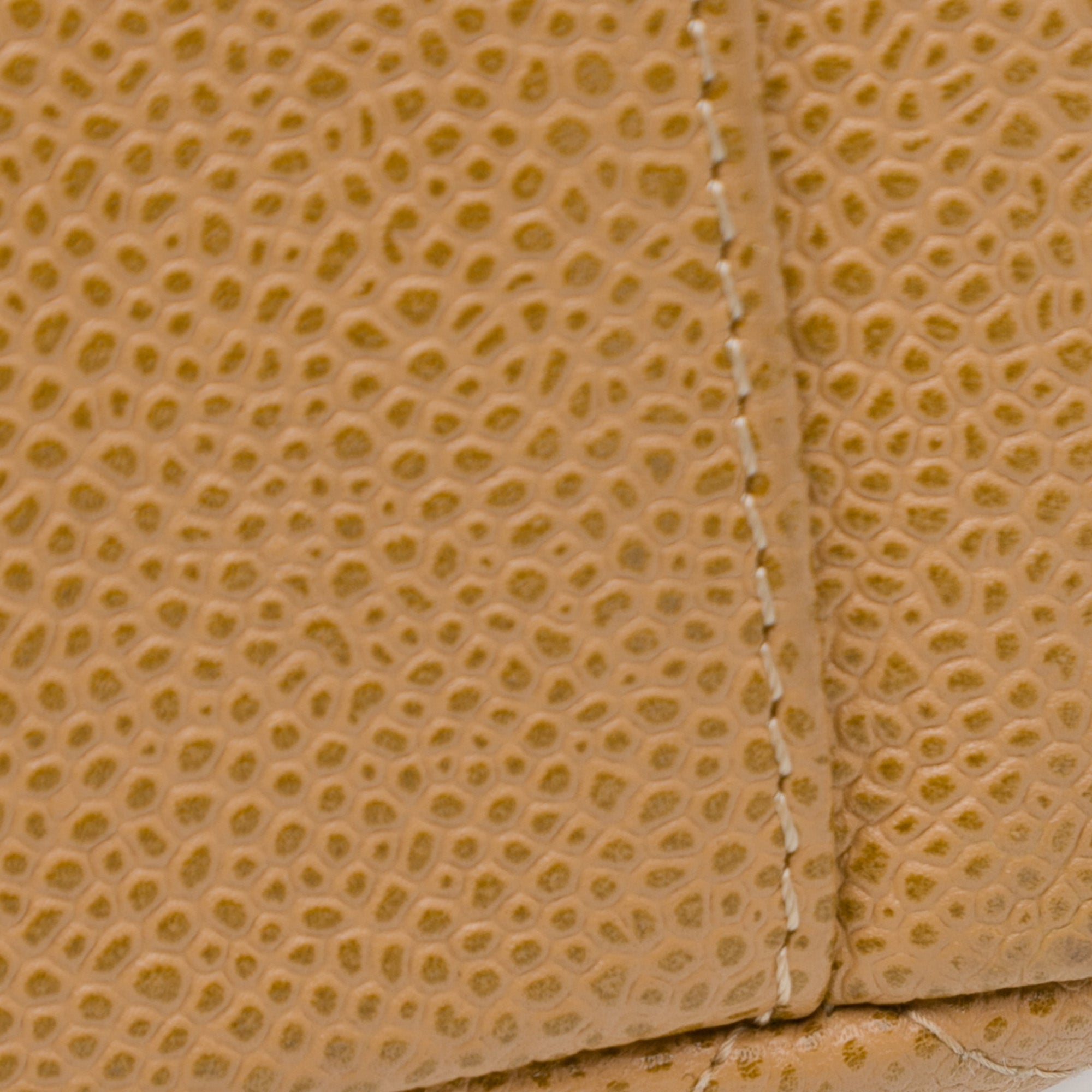 Caviar Petite Shopping Tote