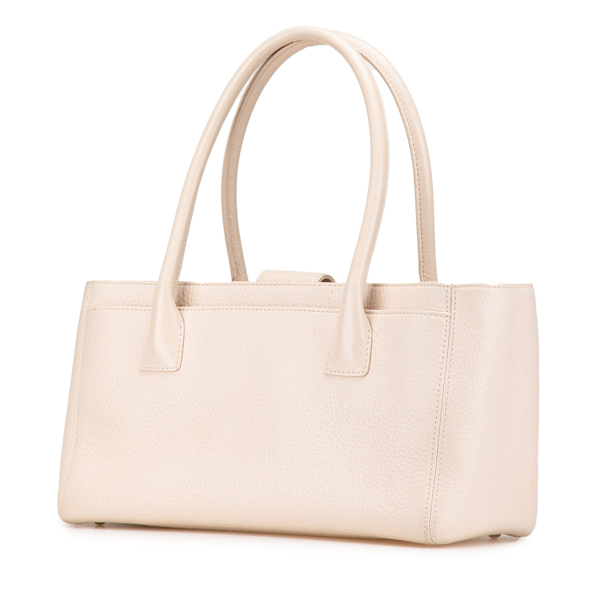 Small Calfskin Executive Cerf Tote