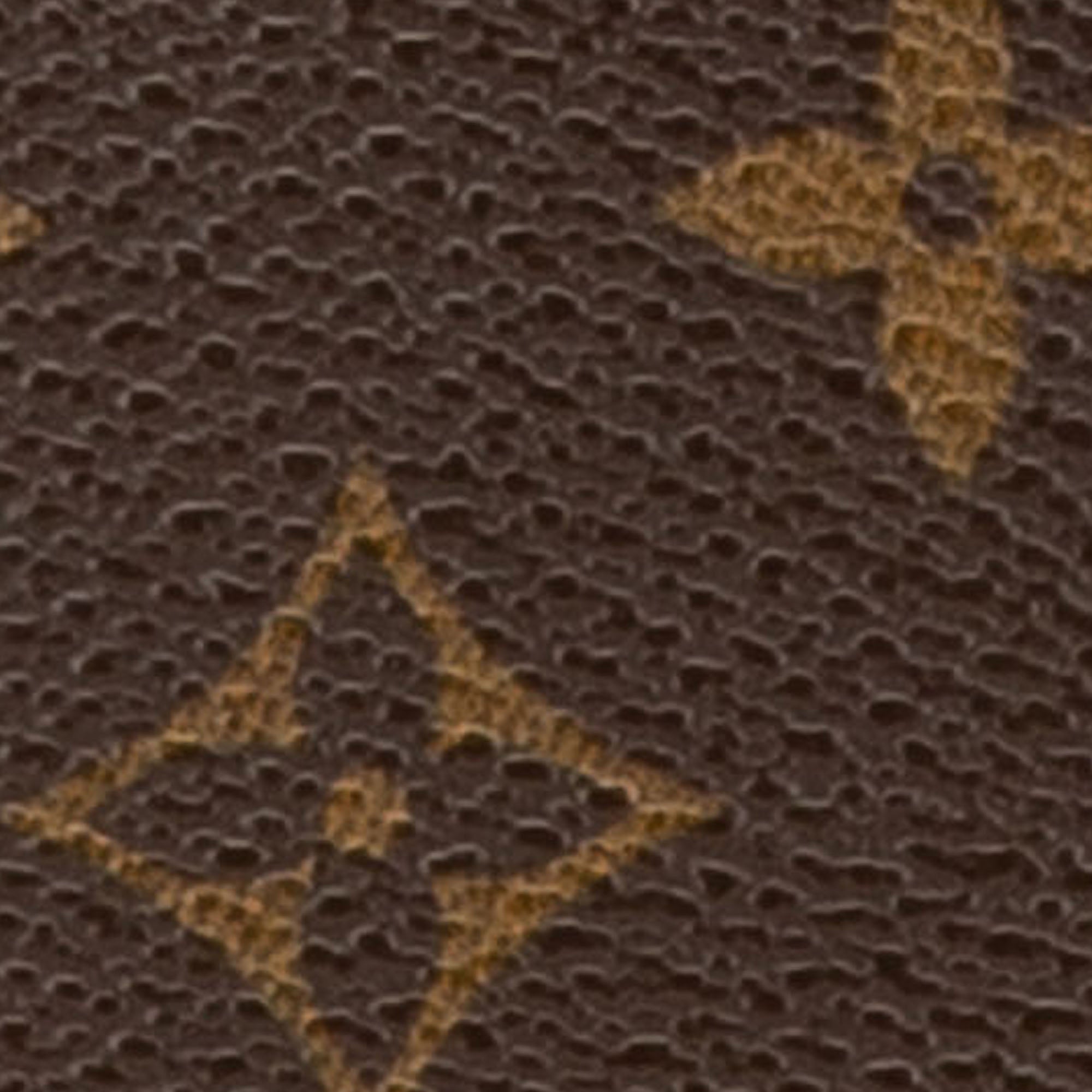 Monogram Ellipse Backpack