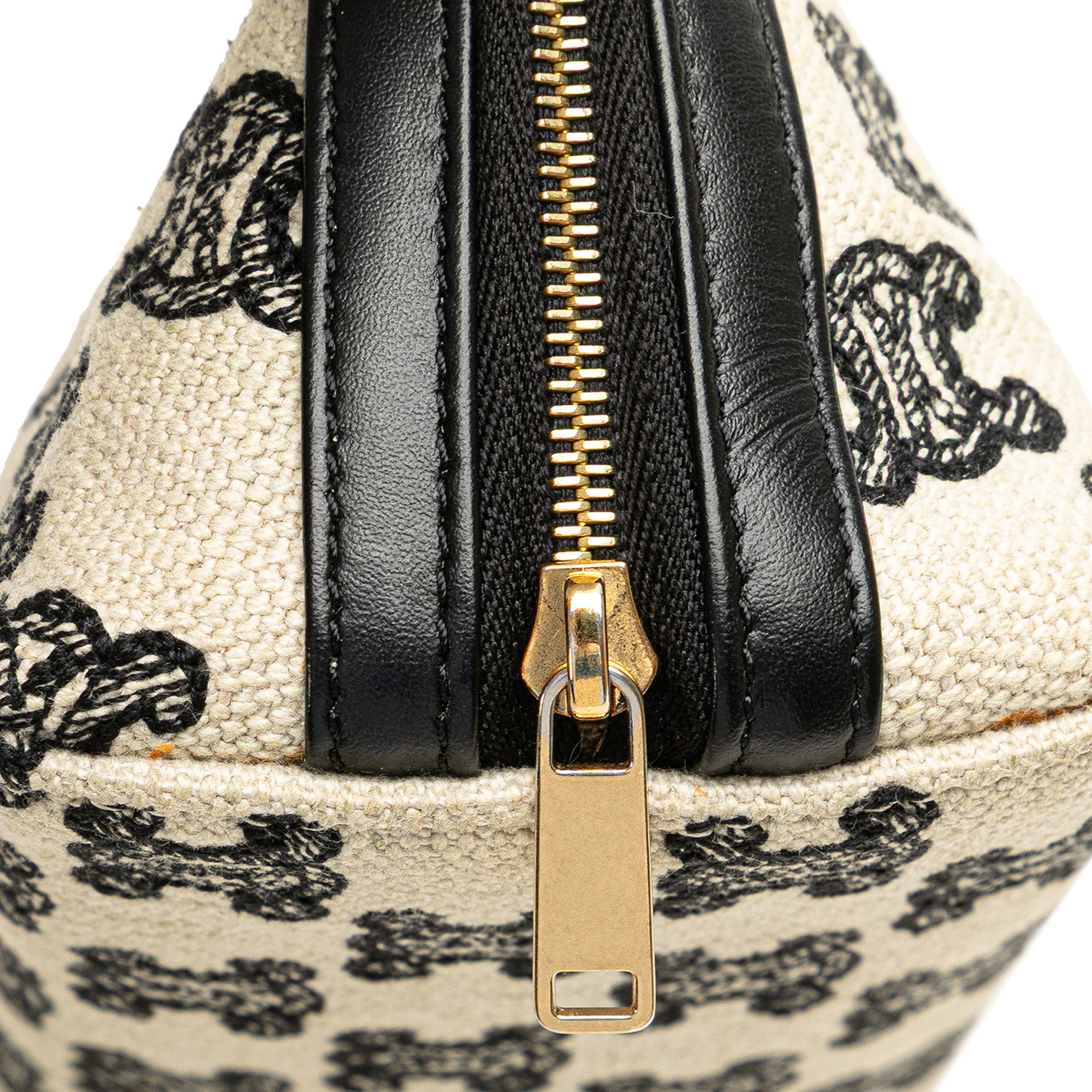 Triomphe Emroidered Canvas Clutch On Chain
