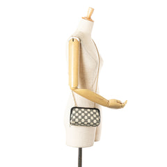 Triomphe Emroidered Canvas Clutch On Chain