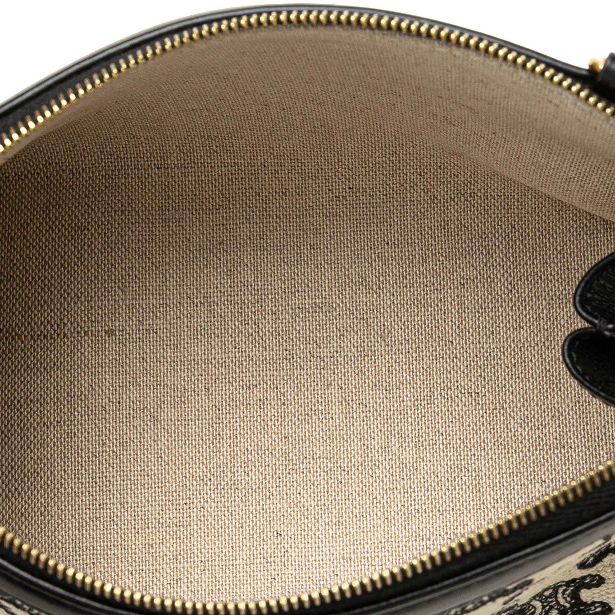Triomphe Emroidered Canvas Clutch On Chain