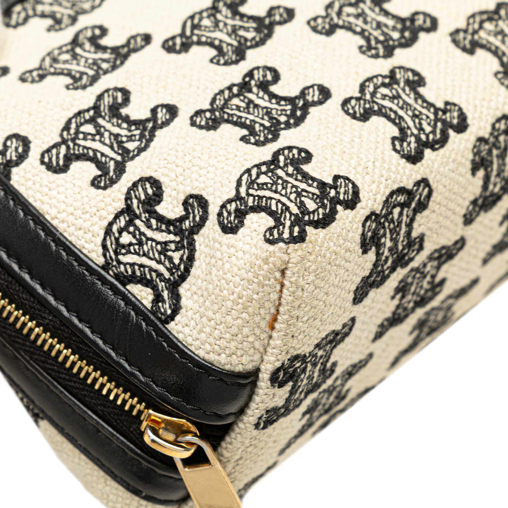 Triomphe Emroidered Canvas Clutch On Chain