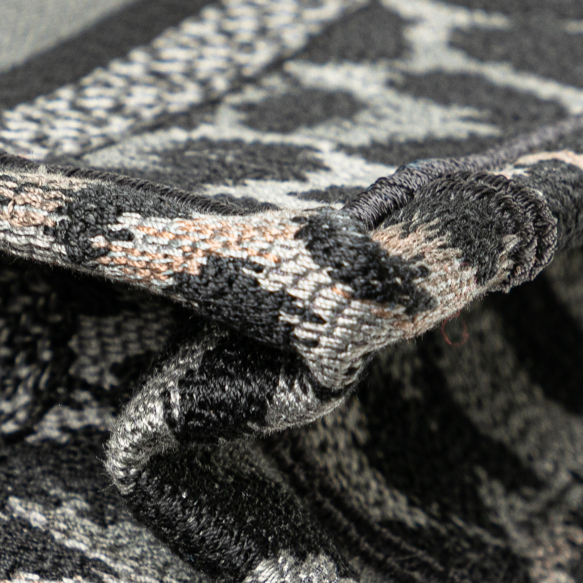 Mizza Mini Embroidered Canvas Leopard Book Tote