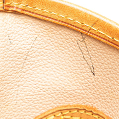 Monogram Petit Bucket