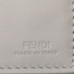 Fendigraphy Wallet On Chain_5