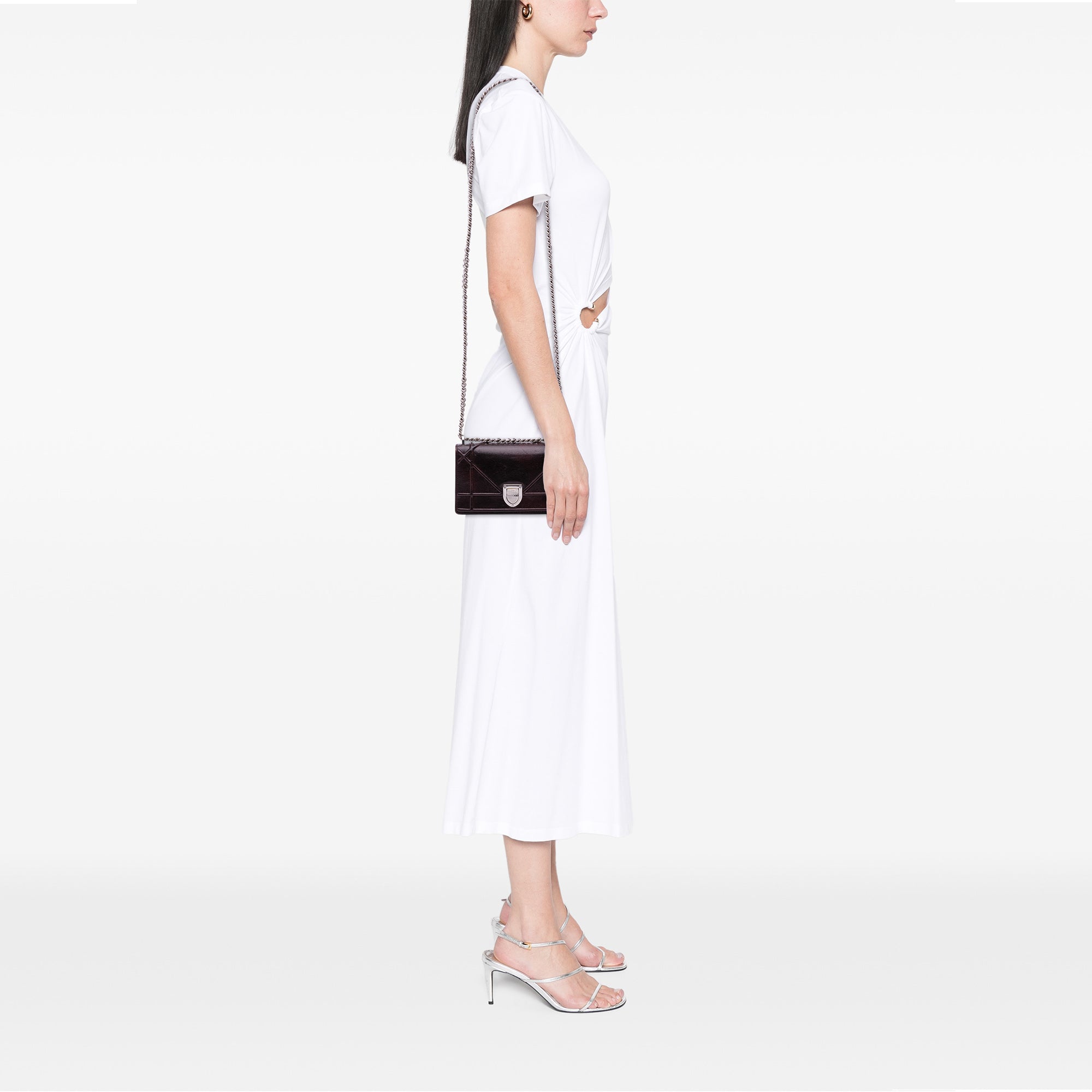 Mini Grained Calfskin Diorama Flap