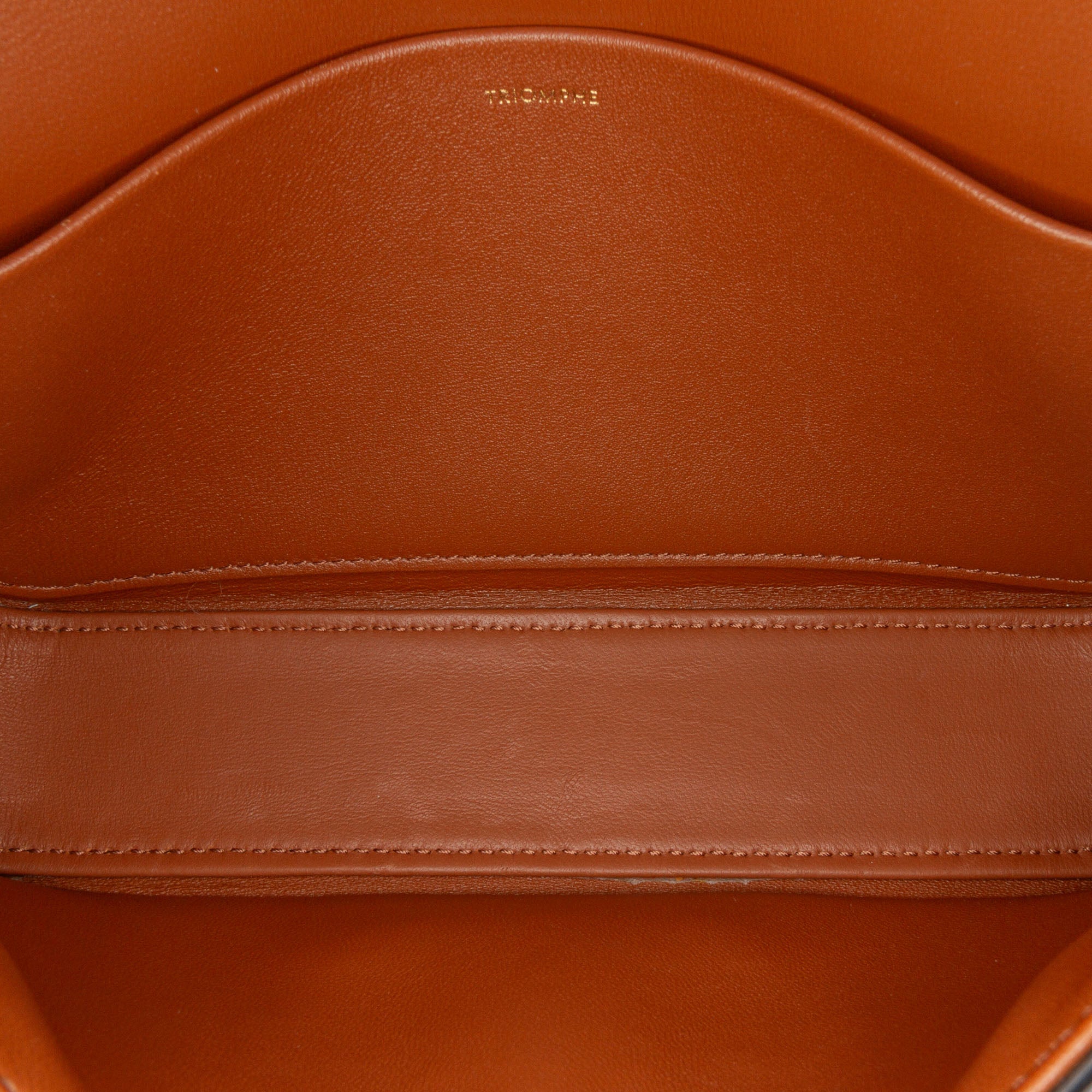 Triomphe Coated Canvas Claude Shoulder Bag