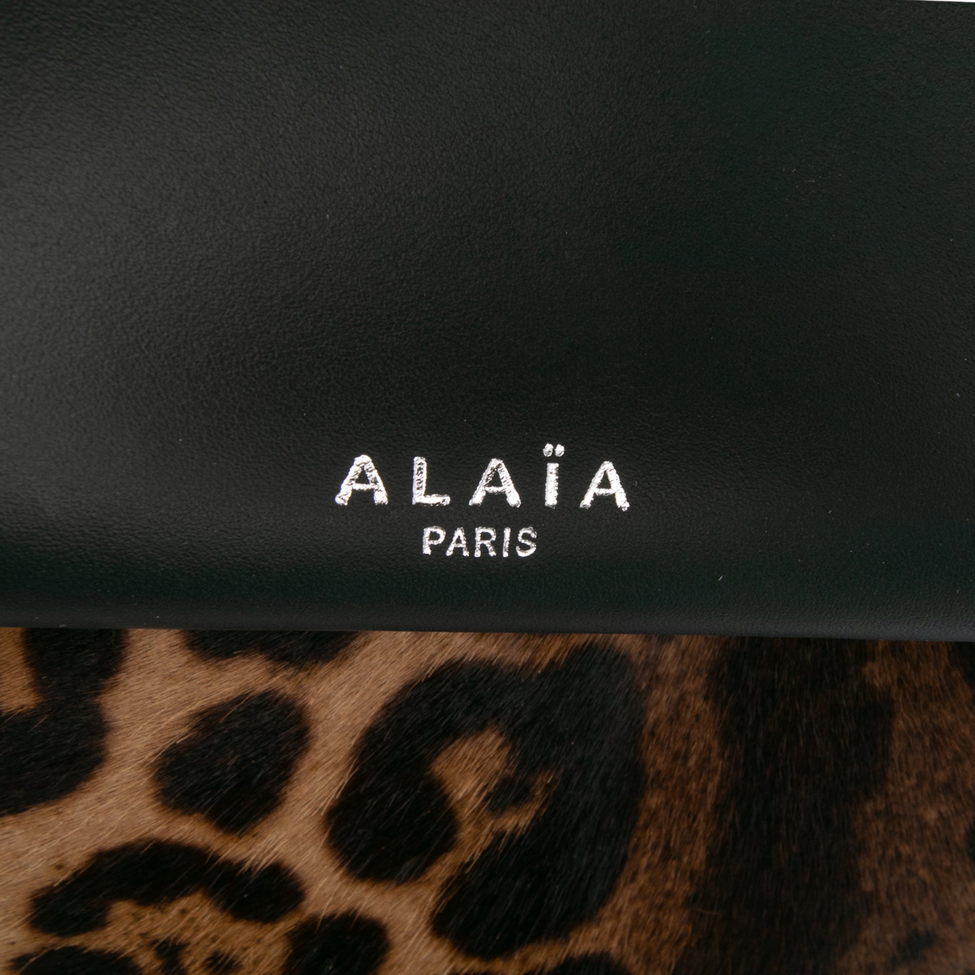 Pony Hair and Leather Leopard Printed Le Hinge Tote