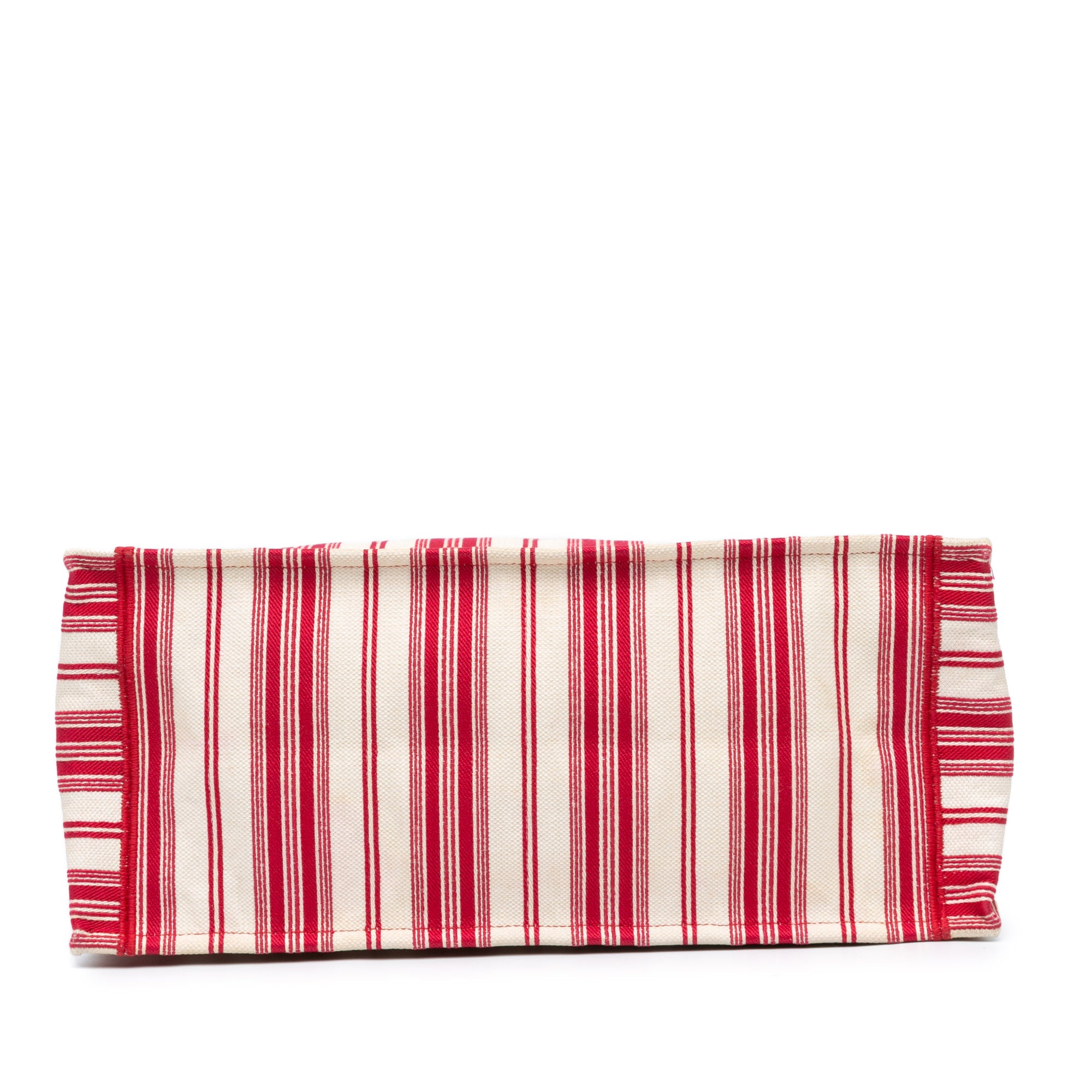 Large Striped Book Tote