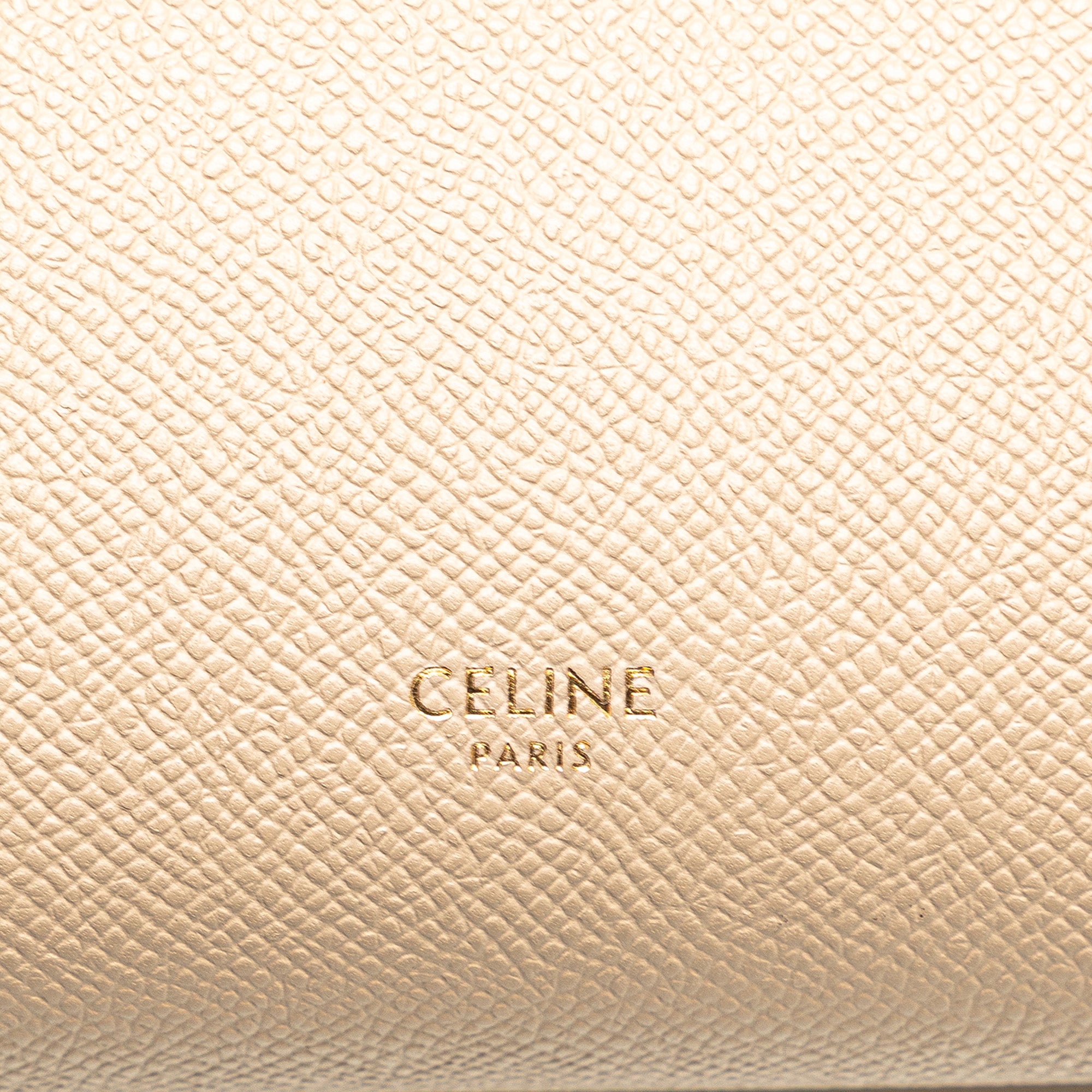 Nano Grained Calfskin Belt Bag