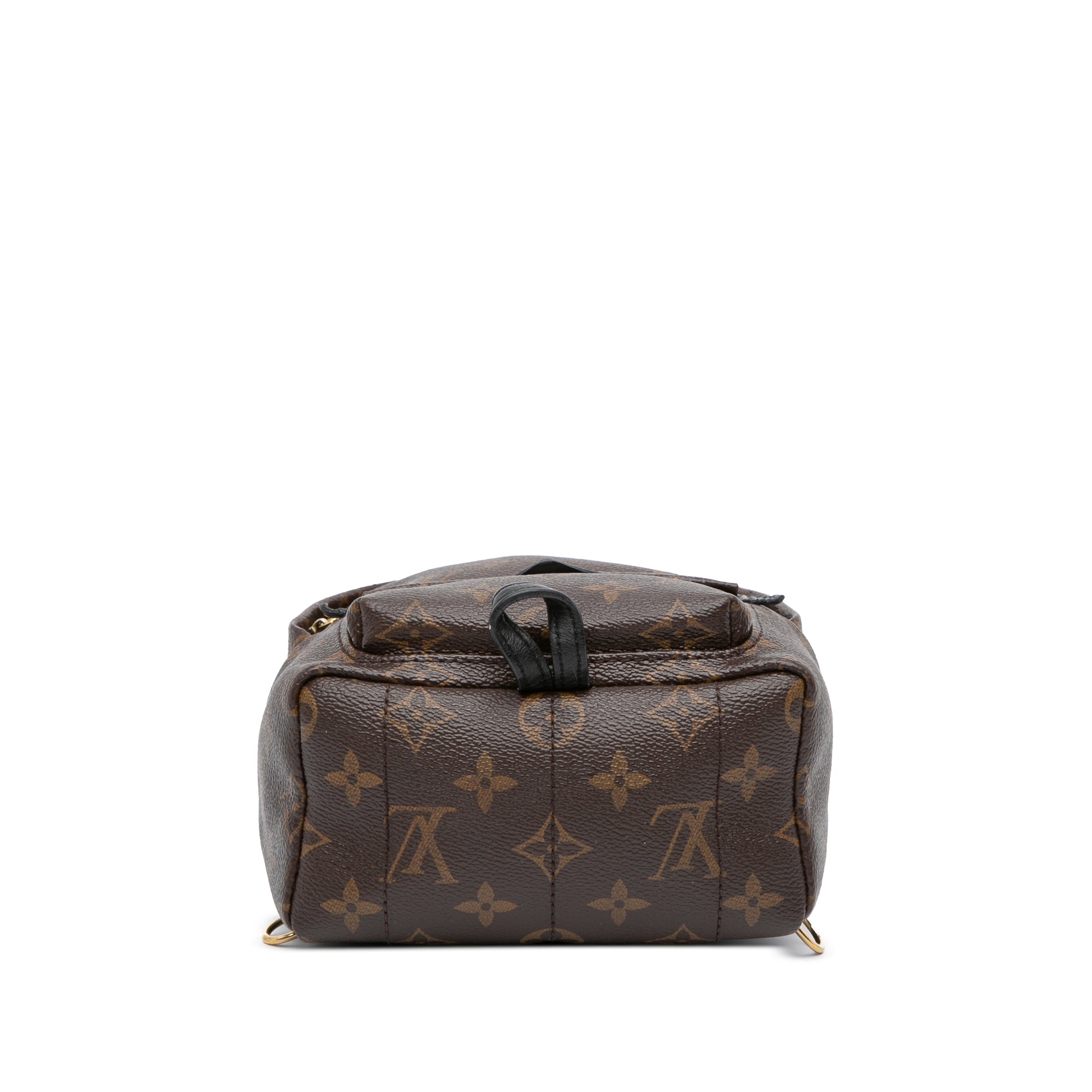 Monogram Mini Palm Springs