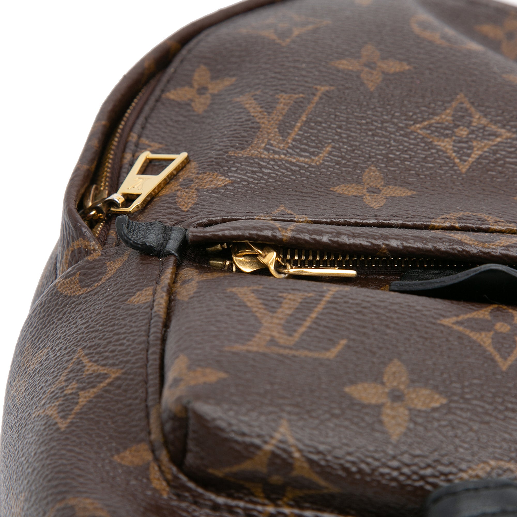 Monogram Mini Palm Springs