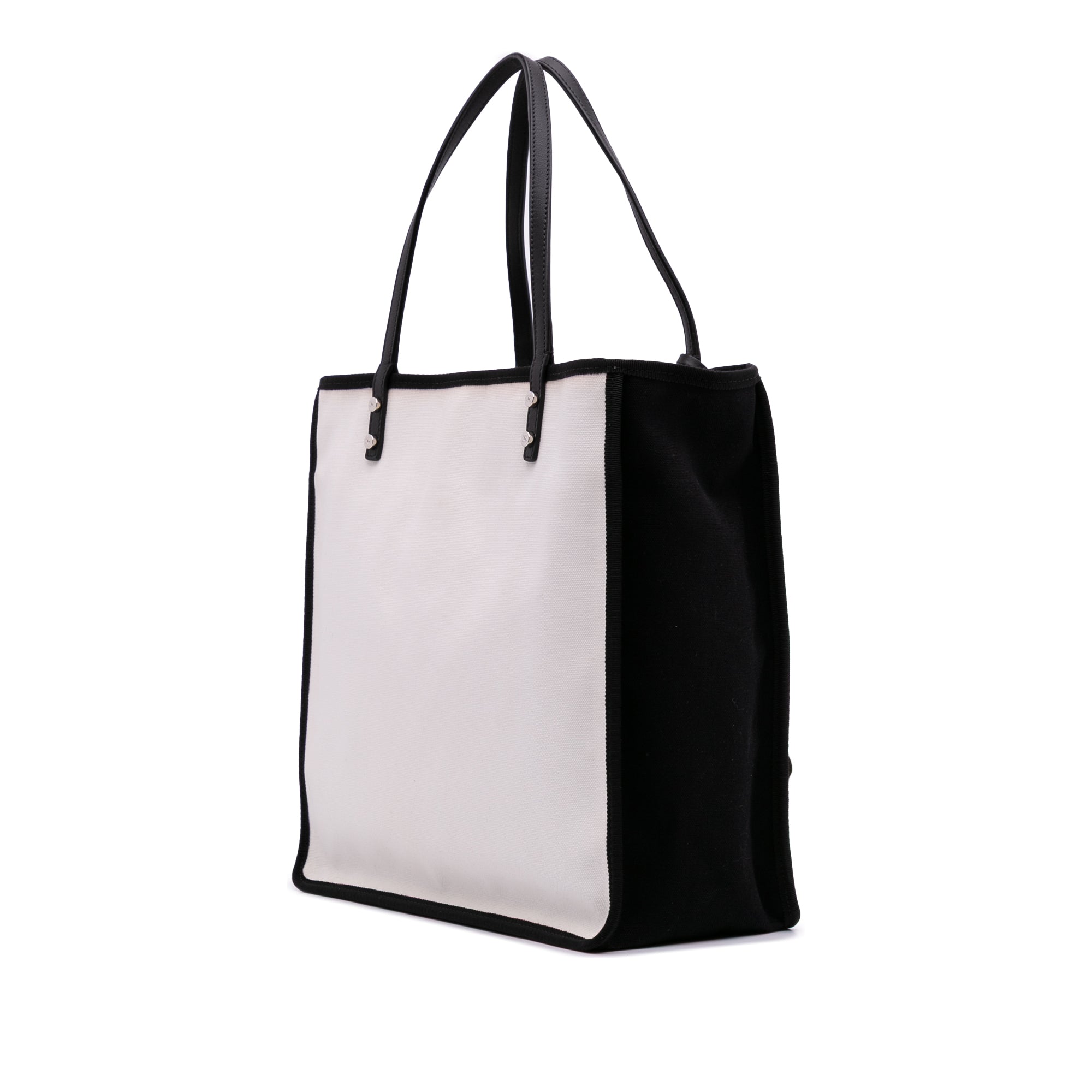 Small Canvas Lets Demonstrate Tote
