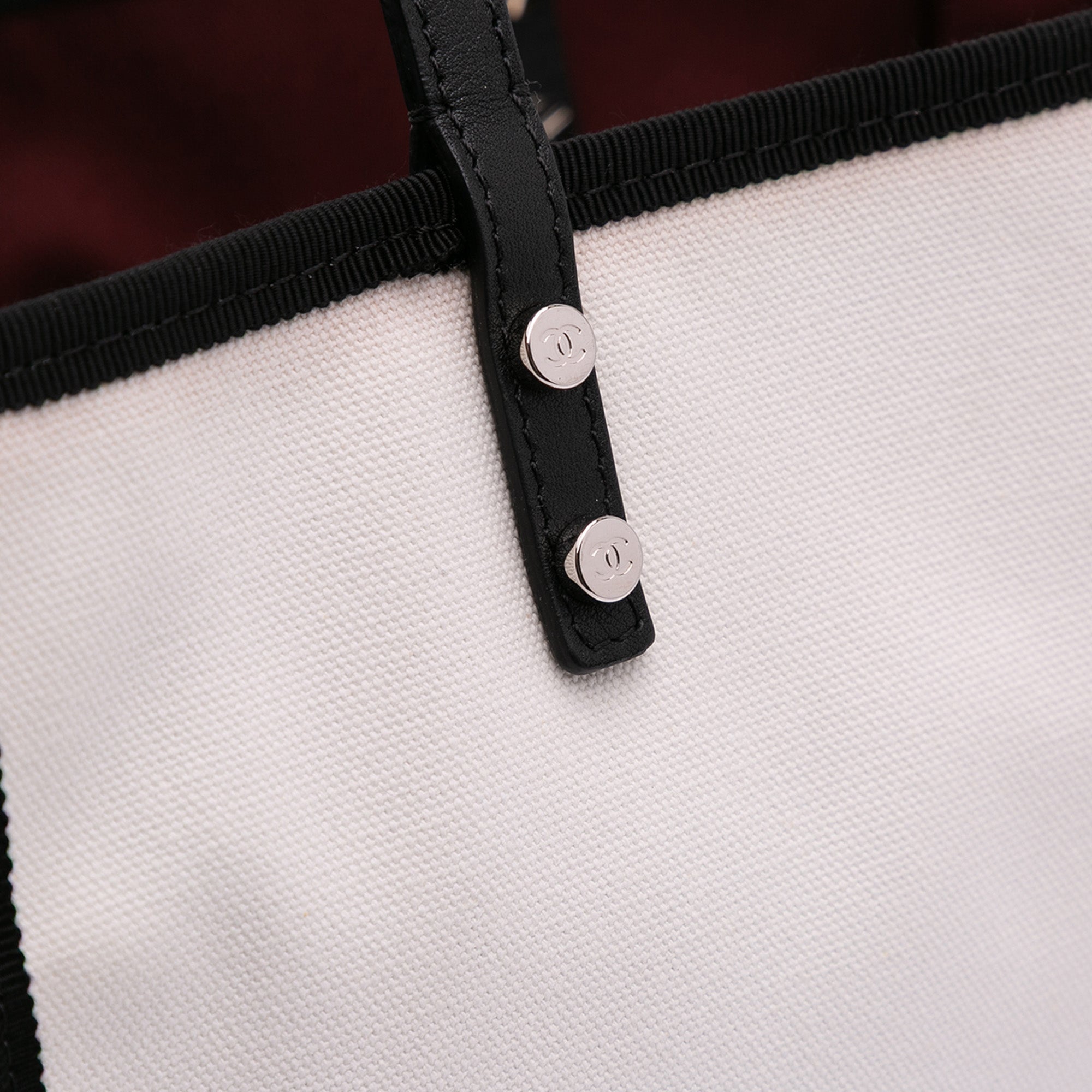 Small Canvas Lets Demonstrate Tote